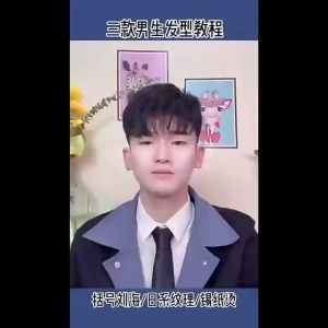 WECO Ceramic Coating Mini Hair Styler Anti-Scald Dual Voltage Men & Women Hair Straightener/Curler Malaysia 2 Pin Plug