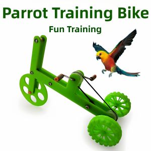 Hadassah | Training Entertainment Parrot Bike