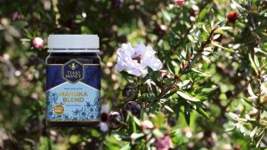 Manuka Honey TIAKI Manuka Blend (500G)