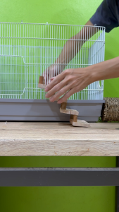 บันไดไม้สำหรับแฮมสเตอร์ + อุโมงค์หวาย แข็งแรง ปลอดภัย | ช่วยปีนเล่น ออกกำลังกาย