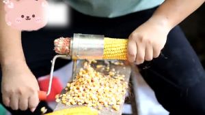 BABEDUO Dry Corn Stripper Kitchen Home Metal Hand Planer Separator