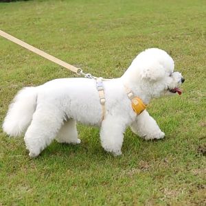 [Stock Ready] Small Medium pet puppy dog cat chest adjustable polyster harness walking leash vest anjing kucing狗狗牵引绳 宠物胸背带 猫