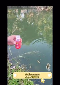 หัวเชื่อหนอนแดงเข้มข้น 100ML - หัวเชื่อตกปลา