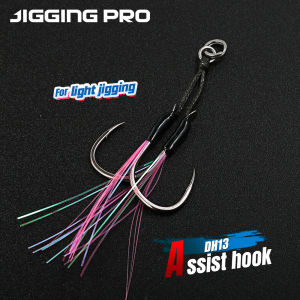 JIGGING PRO 2 Pairs Micro Jig Light Jigging Hooks 10# 12# 14# 16# Barbed Feather Fishing Hook Double Assist Hook
