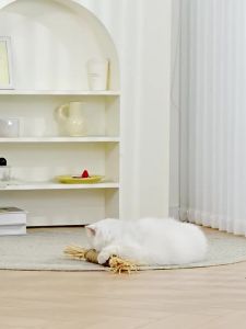 HOOPET | Teasing Self-Entertainment Cat Toy for Kitten With Matatabi