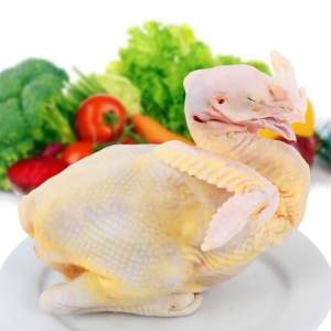 Gà ta làm sạch thả vườn trọng lượng 2 kg thịt ngọt dai thơm ăn là nghiền