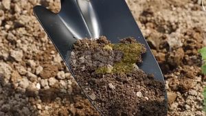 31cm - 46cm Shovel For Gardening With Non-Slip Rubber Grip Heavy Duty Metal Compact Shovels