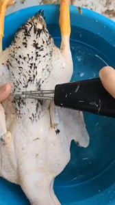 เครื่องถอนขนไก่ไฟฟ้าแบบมือถือ เครื่องถอนขนสัตว์ ชาร์จแบตได้ เครื่องถอนขนไก่ ขนเป็ด ขนห่าน ขนวัว ขนหมู มีดปอกหน่อไม้ มีดโกนขน เครื่องกำจัดขนสัตว์ เพื่อการถอนขนไม่มีสารตกค้างและไม่ทำลายผิวหนัง