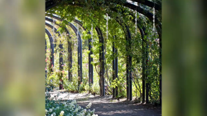 แท่งสะท้อนแสง โมบายไล่นก แท่งเกลียวไล่นก แบบหมุน สีเงินสะท้อนแสง พลาสติก ยาว 29cm ราคา/10ชิ้น