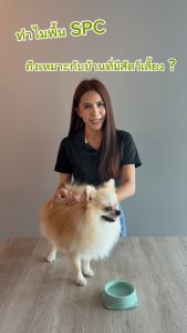 Panake ไม้พื้น SPC หนาเต็ม 4 mm Virgin material โฟมแยก เกรดพรีเมี่ยม