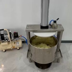 220V Stainless Steel Juicer & Dehydrator: A Comprehensive Guide