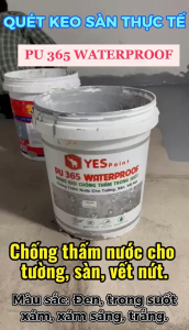 Chống thấm PU 365 WATERPROOF - MÀNG KEO CHỐNG THẤM TRONG SUỐT. CHỐNG THẤM NƯỚC CHO TƯỜNG SÀN VẾT NỨT 5KG