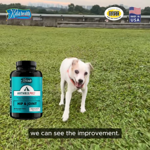 Kala Health Arthrix Pro Hip & Joint Pet Supplement Pain Relief for Dogs & Cats with MSM Glucosamine