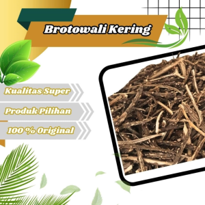 Jamu Herbal Tradisional Brotowali Untuk membantu Mengobati Diabetes gatal gatal alergi