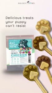 Balance Nutrin Dog Treats 4 In 1 Lollipop Paw Pie