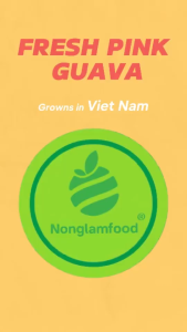 Ổi Sấy Dẻo NONGLAMFOOD Loại 1 Hàng Chuẩn Xuất Khẩu Dẻo Mềm Trái Cây Sấy Dẻo Đồ Ăn Vặt Túi 100g