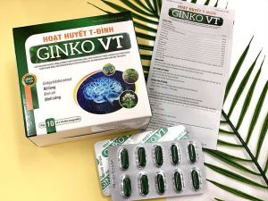 GINKO VT - Hoạt Huyết Tiền Đình (10 vỉ hộp)