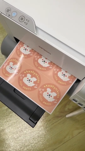 สติ๊กเกอร์โฟโต้ A4 ผิวมันเงา (50 แผ่น) สำหรับเครื่องปริ้น inkjet ทุกรุ่น กันน้ำได้ สติ๊กเกอร์กระดาษ สติ๊กเกอร์ สติ๊กเกอร์ กระดาษ สติ๊กเกอร์ แผ่น - Lazada