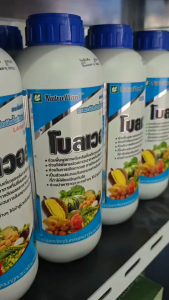 โบลเวอร์ อะมิโนจากปลา20ชนิดทำให้พืชกินได้ทันทีเขียวและสะสมอาหารได้ดี