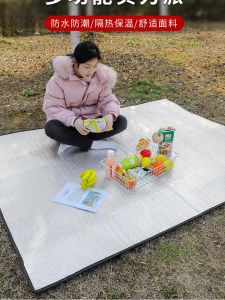 Outdoor Camping Moisture Proof Pad Double-Sided Aluminium Film Single Double Multi-Person Moisture Proof Pad Tent Mat Picnic Mat
