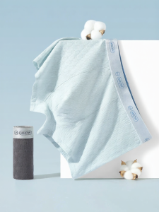 MiiOW | Antibacterial Silk Cotton Underwear Men Shorts