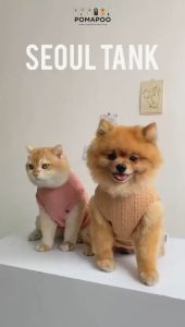 Seoul Tank - Baju Kucing dan Baju Anjing POMAPOO Premium Berkualitas