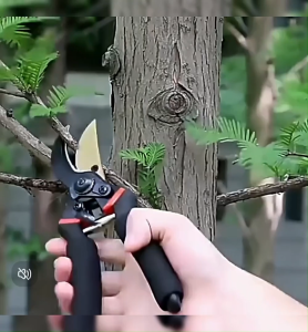 CASTA Gunting Dahan SK5-Gunting Kebun & Taman /Ranting Bunga Tanaman-Stainless Steel Garden Shears