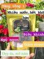 [Chính Hãng] Kẹo Mầm Sâm Tố Nữ Xmax mẫu mới nhất Kẹo Mầm Lúa Mạch Gold Thảo Mộc 37 Tăng Size Vòng 1 Đẹp Da Tăng nội tiết tố nữ. 