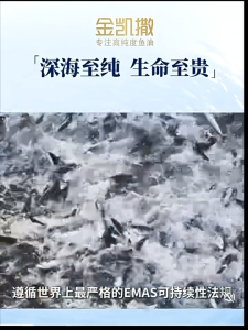 OMEGOR 95% High Purity Deep Sea fish oil omega 3 1000mg EPA&DHA  Softgel Adult Cardiovascular for  Heart Health and high Blood Pressure fish oil supplement healthy care