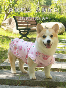 Princess Style Dog Dress Thin Fleece Beautiful Autumn Winter Warm Anti Shedding Teddy Bear Dog Clothes Pet Supplies