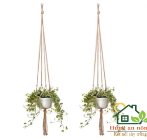 Dây treo chậu cây macrame 105cm | dây treo chậu handmade trang trí ban công sân vườn