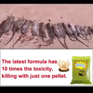 【COD】🐀ธัญพืชธรรมชาติผสม ยาเบื่อหนู 1000g อาหารโปรดของหนู ยากําจัดหนู ยาฆ่าหนู เหยื่อกำจัดหนูหนูไม่มีกลิ่นหลังจากตาย