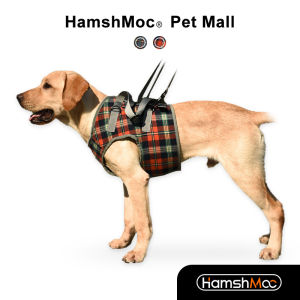 HamshMoc Portable Dog Auxiliary Belt Breathable Dog Lift Harness Sling Support Repair Function for Disabled Dogs Injuries Help with Rehabilitation