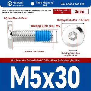 GUWANJI | Vít Lục Giác Chống Bỏng Mất Inox Đầu Bẹt và Cán Nghiêng