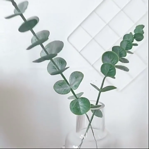 ดอกไม้ประดิษฐ์ ชุดยูคาลิปตัสปลอม ใบ+ก้าน ดอกไม้ประดิษฐ์ แต่งห้อง พร็อพถ่ายรูป 🌿 สวยเหมือนจริง