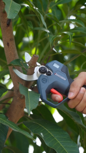 MASARU รุ่น SCSP-425N กรรไกรตัดกิ่งไฟฟ้าไร้สาย 20V ใบมีด SK-5 มอเตอร์บัสเลส ตัดกิ่งไม้ 0–30 มม. ใช้งานสบายมือ ใช้แบตร่วมกับสว่านได้ รับประกัน 7 เดือน