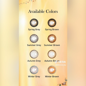 BLINCON DD 3 Months Cosmetic Contact Lenses (2 pcs)