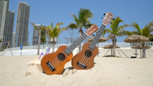 Dozzly Ukulele 21/23/26 inci gitar Ukulele soprano/konsert/tenor sapele gitar Hawaii gitar kecil Kids with Gig Bag Digital Tuner Replacing Strings 3 Guitar Picks Strap Cloth