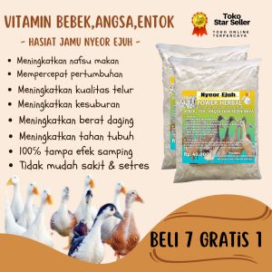 Vitamin Bebek Angsa Entok Power Herbal Jamu Nyeor Ejuh Extra Gula Untuk Nafsu Makan Dan Penggemukan