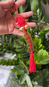 Dây tết hồ lô kèm 5 đồng xu ngũ đế treo phong thuỷ bằng đồng mang lại may mắn tài lộc và xua đuổi tà khí