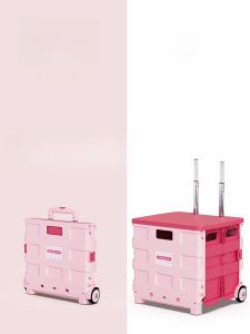 Essential Shopping Aid: Foldable Small Shopping Cart & Hand-Pulled Vegetable Cart