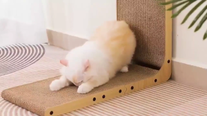 Cat Scratcher L Shape Cat Scratch Pad Vertical Cat Scratcher Wall Mounted Cat Scratching Cardboard with Ball Toy for Indoor Cats