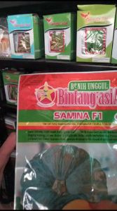 Benih Samina F1 10gr Bibit Unggul Labu Hibrida Waluh Kuning Samina F1 10 Gram Bintang Asia