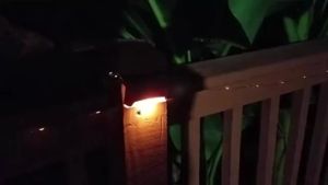 1/4 Đèn LED Năng Lượng Mặt Trời Đèn Tường Ngoài Trời Chống Nước IP65 Đèn Ngủ Sân Vườn Cho Cầu Thang Hàng Rào Biệt Thự Khuôn Viên Nông Trại Công Viên Khu Dân Cư Sân Vườn