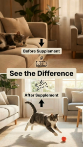 PURRVITALS 90 Lacto Calcium Tablets — Bone & Joint Health | Strong Bones Growth Support