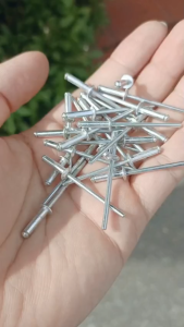 River nhôm đinh rút đầu bằng M3 - Ø 3mm #vattuducduyen (100g)