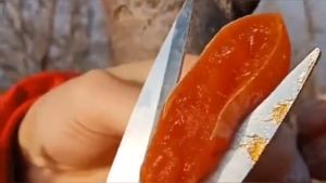 Authentic farmhouse homemade persimmon cake 500g (In stock)