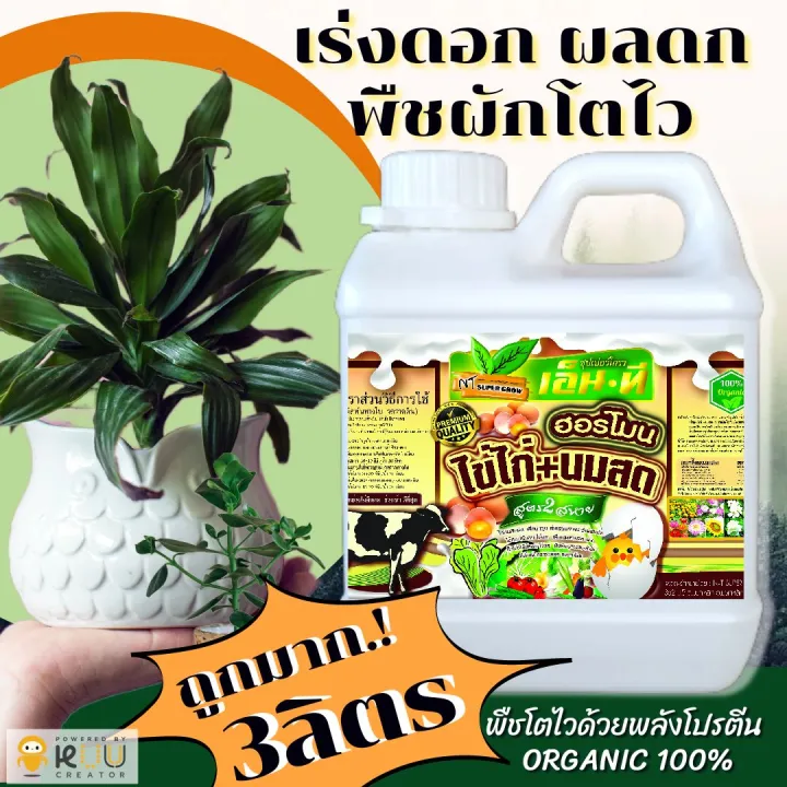 ฮอร์โมนโมนไข่+นมสด 💥😲สุดยอดพลังโปรตีน&แคลเซียมคูณ2💥😲 เร่งผลดก ออกดอก ...