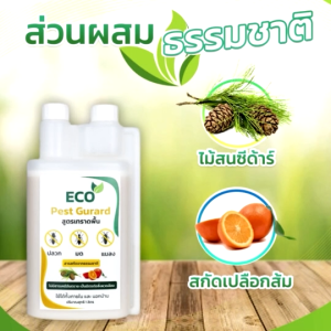 กำจัดปลวก ไล่ปลวก สมุนไพรปลวก ไล่ปลวกปลูกผัก - Pest Guard