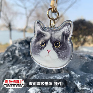 Double-Sided Epoxy Acrylic Cat Pendant In Stock Cartoon Cute Pet Key Chain DIY Photo Customization